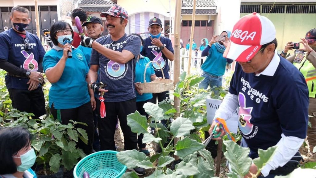 Walikota Solo Panen Perdana Sayuran di Lahan Kampung
