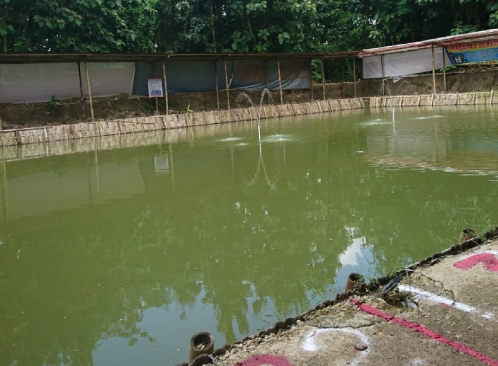 Kolam Adem Ayem Sugihwaras Gondangrejo