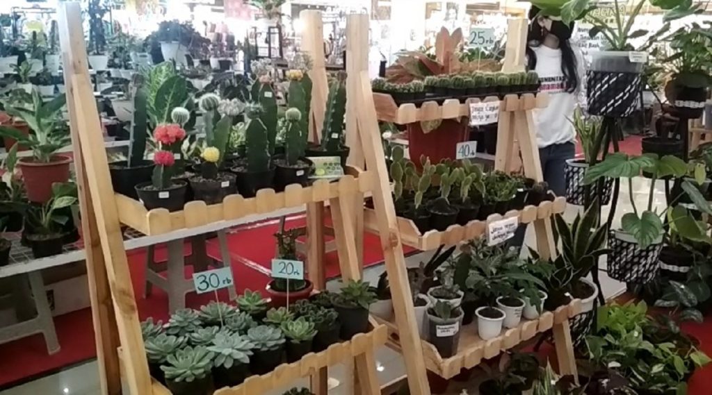 Pameran tanaman hias di Solo Square tanggal 12 hingga 21 Maret 2021