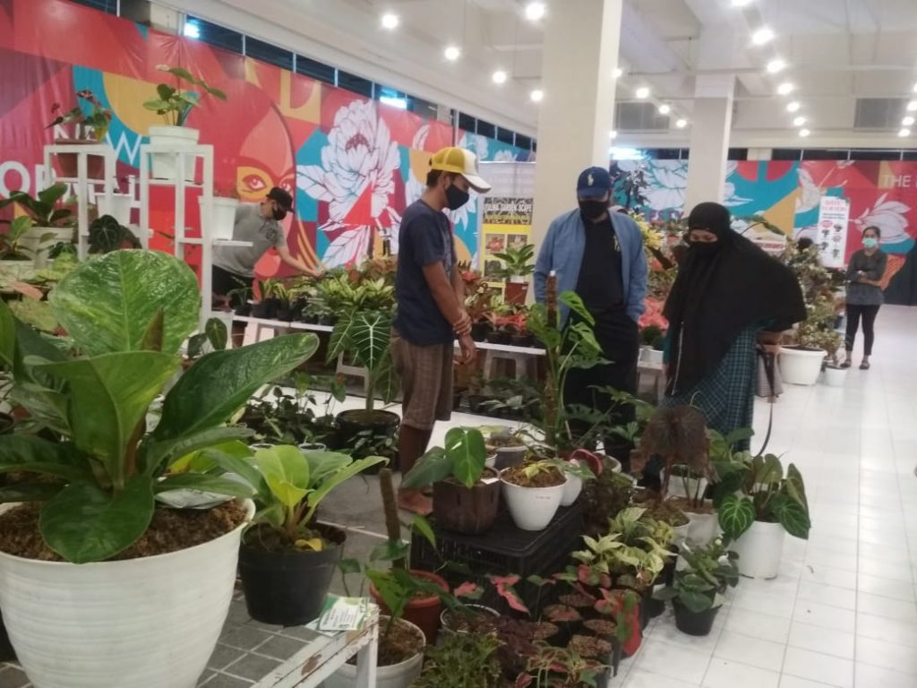 Pameran Tanaman Hias di Solo Paragon Mall
