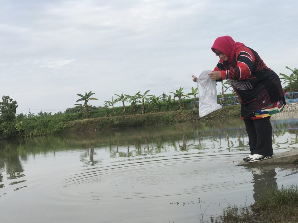 Bupati Sragen Tebar Benih Ikan di Embung Guworejo