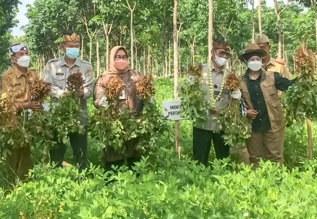 Menteri Pertanian Republik Indonesia, Syahrul Yasin Limpo