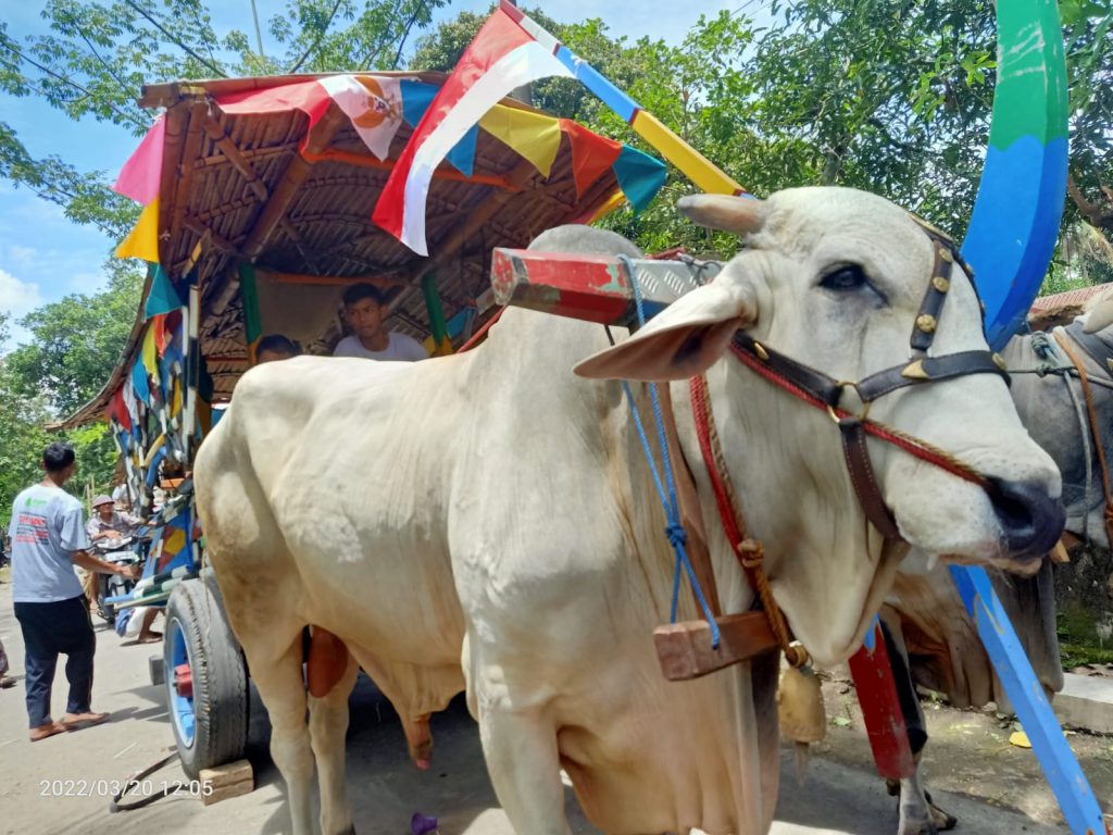 Desa Bengking Klaten