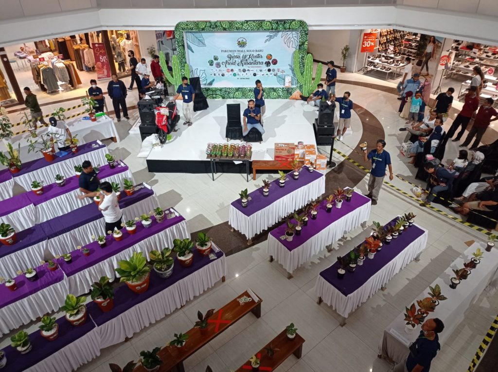 Pameran tanaman hias di Pakuwon Mall Solo baru