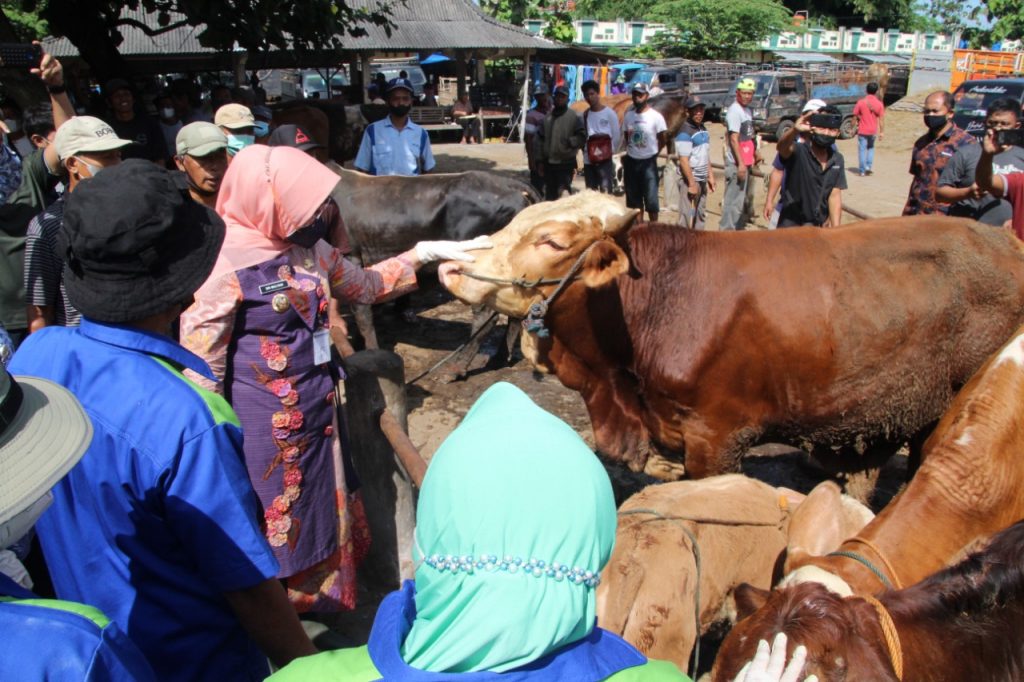 Sri Mulyani Tinjau Pasar Hewan Prambanan