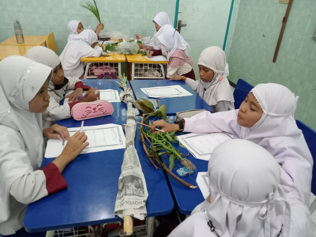 SDIT Nur Hidayah Solo Belajar Tentang Tumbuhan