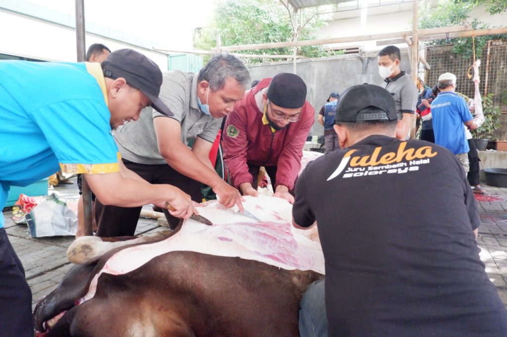 SDIT Nur Hidayah Solo Berkurban