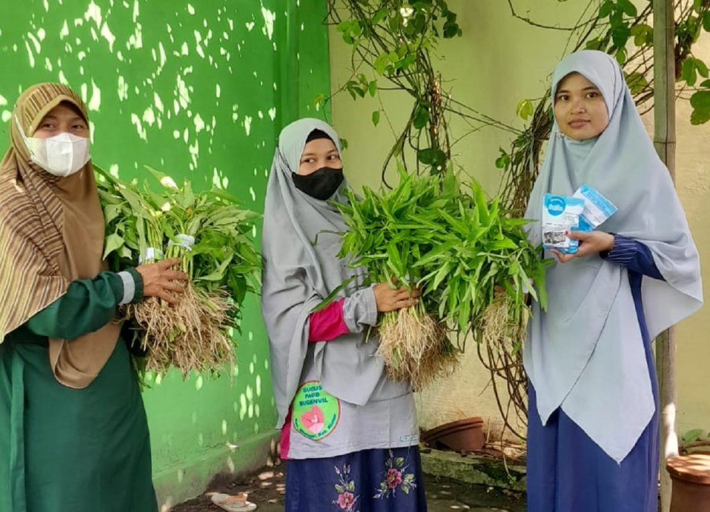 Aqila Farm Bagikan Sayur Organik untuk Guru
