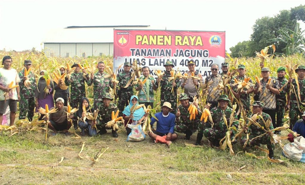 Dandim Klaten Panen Raya Jagung