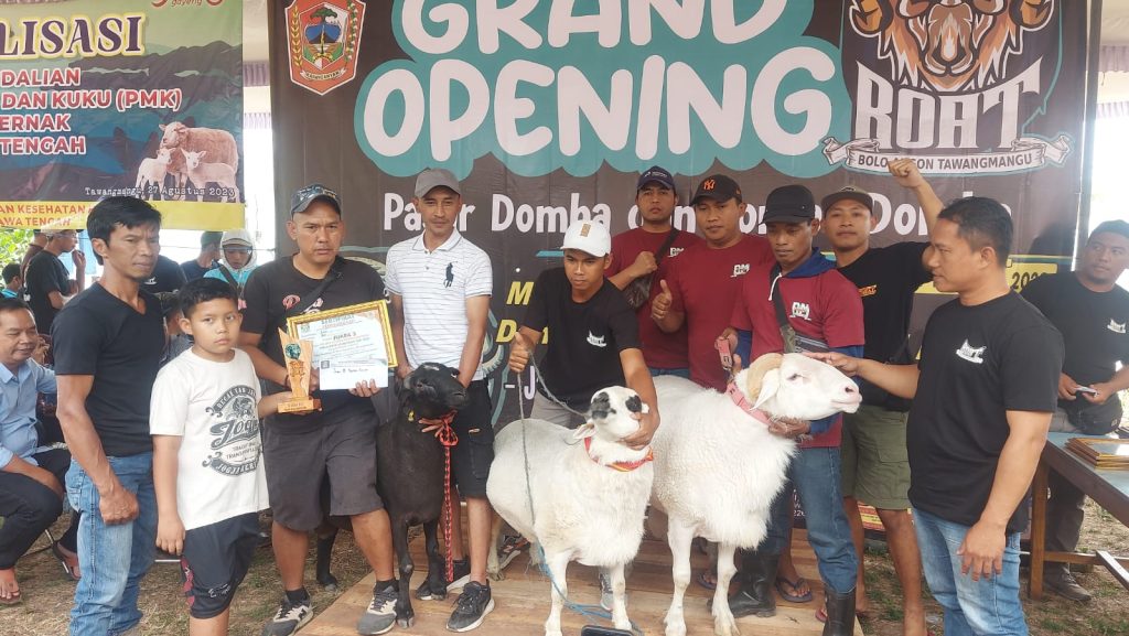 Kontes Domba Tawangmangu