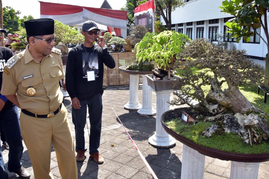 Bupati Boyolali pameran bonsai